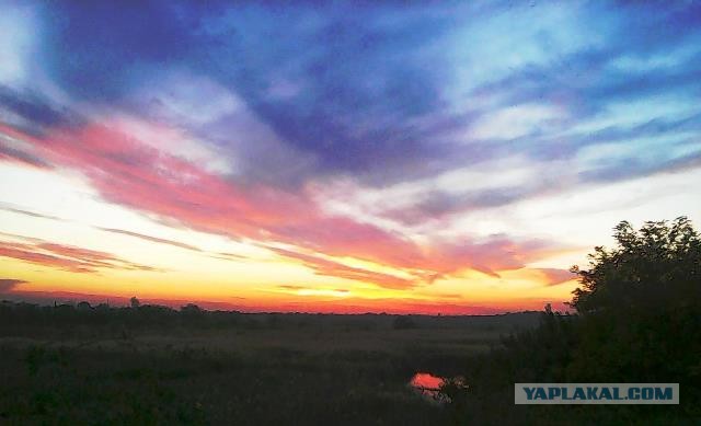 Картинки разные