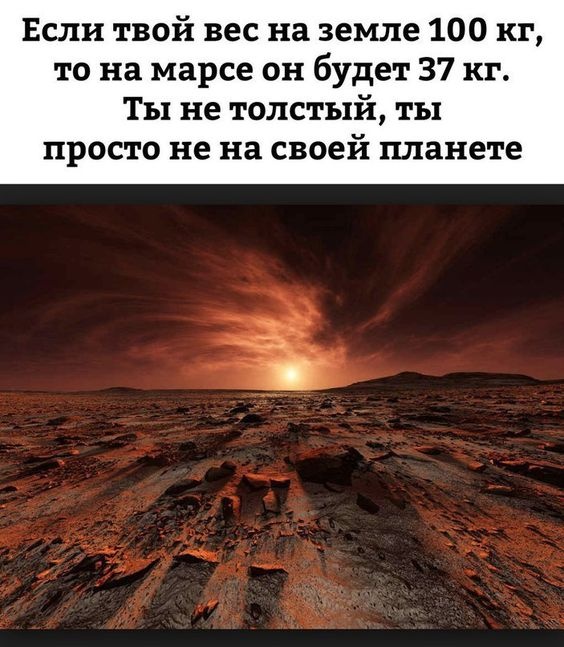 Так себе картинки 16.02.21