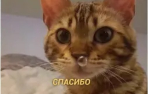 Бредзона 29.04.21
