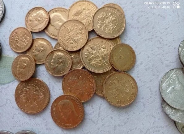 Клад из монет царской России и СССР нашла жительница Забайкалья у себя в огороде