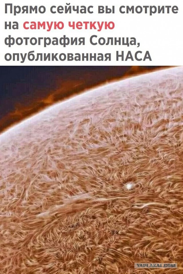 Пятничные маразмы дышат в спину