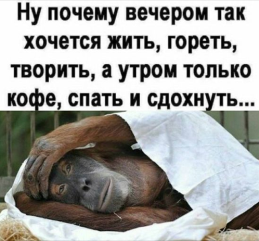 Алкопост 31.07.21