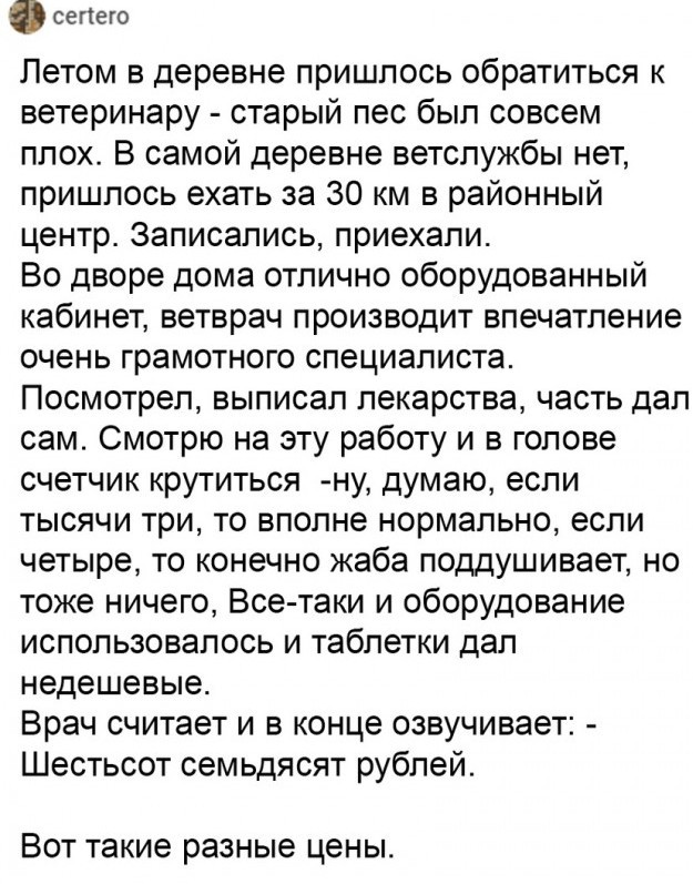 Чуток картинок 23.10.21