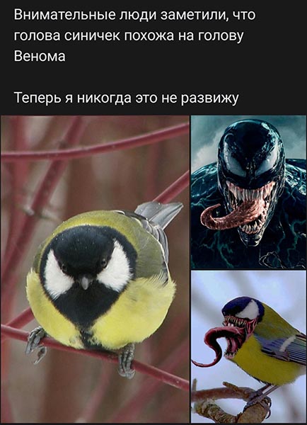 Так себе картинки 25.12.21