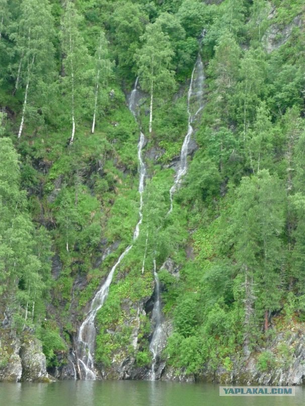 Прогулка по Алтаю