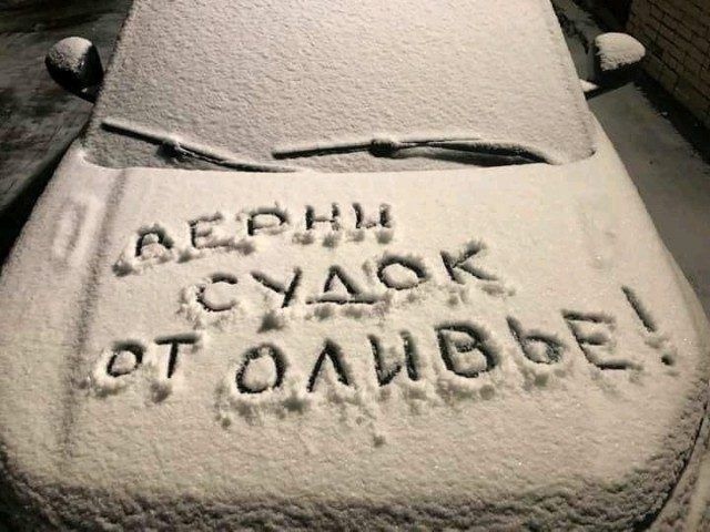 Человек собаке друг и другие картинки под настроение 13.01.2022