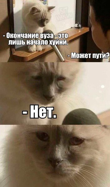 В пятницу чуть-чуть, уж точно можно деграднуть!