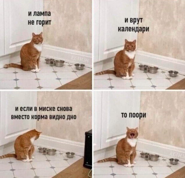 Всякой Хни вам в ленту, дорогие деграданты...