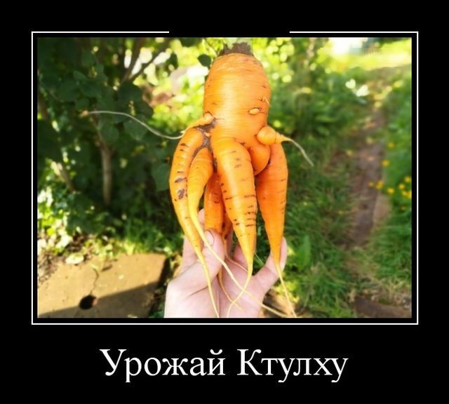 Картинки с надписями 26.06.52