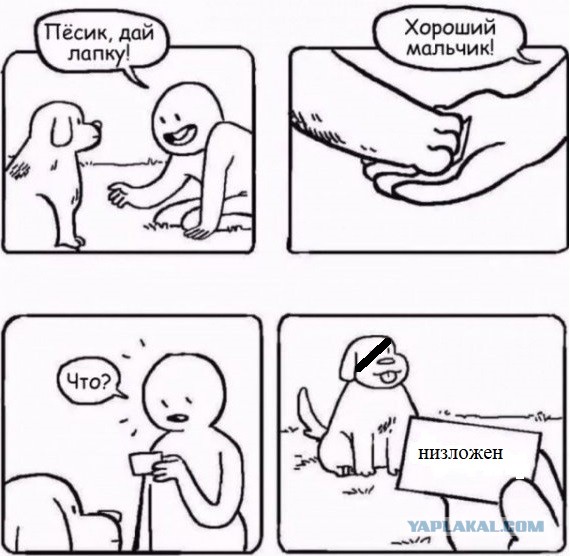 Так себе картинки 01.10.22