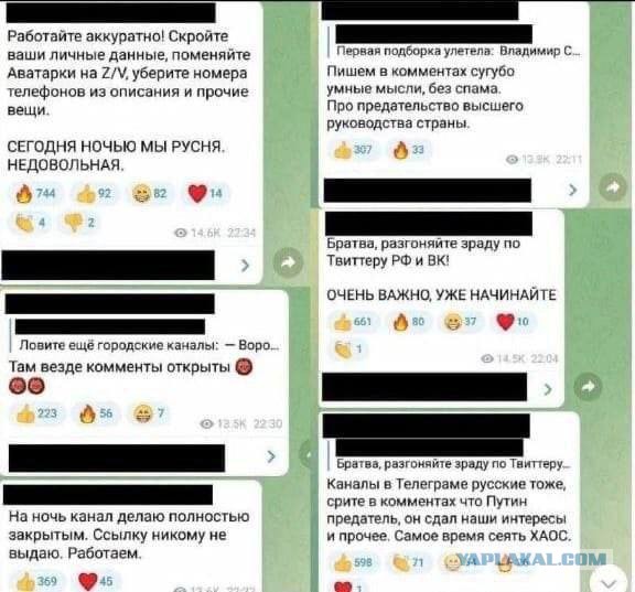 «Пап, пока звонить не буду, нас завтра закидывают»: что рассказывают родные погибших мобилизованных