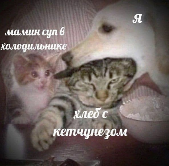Картинки аморальные и всякие разные - 42