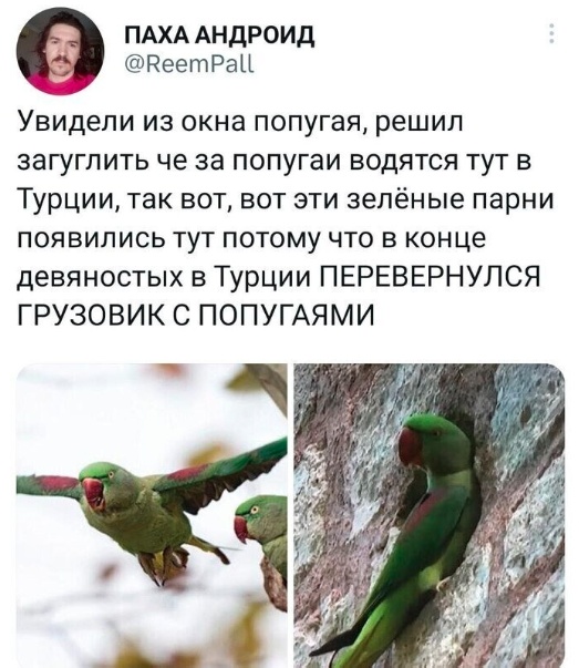 Картинки и мемы, всем хороших выходных