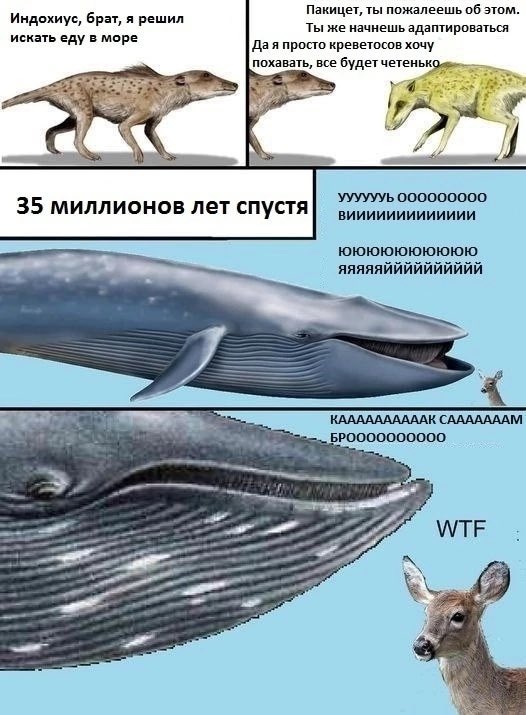 Чуток картинок 25.05.23