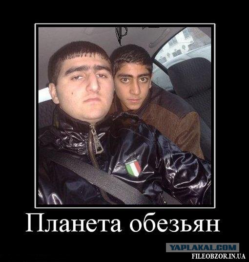 "Хозяева" дорог......