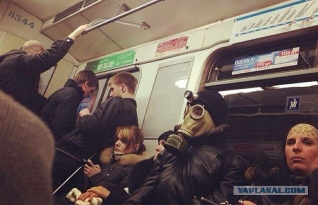 Модники из подземелий российского метрополитена