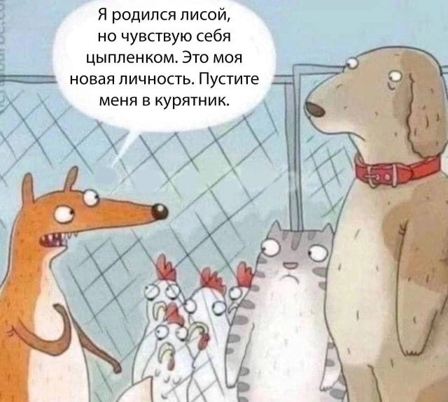 Конец женского спорта в США: двухметровый мужик занял первое место на женских соревнованиях