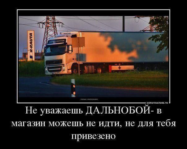 Картинки из мусорной корзины 14.07.24