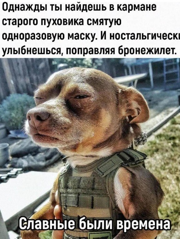 ЦАХАЛ объявил, что ответит на иранскую ракетную атаку уже этой ночью, и результат «увидит весь Ближний Восток» - RT