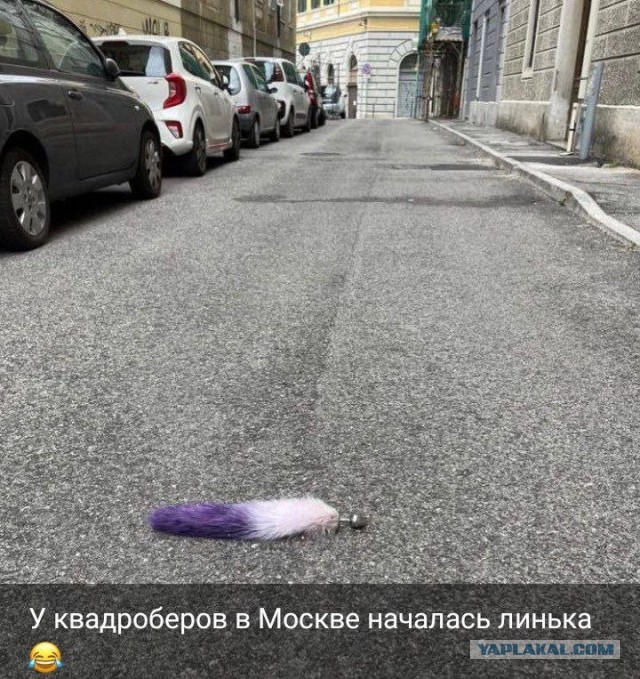 Отборные баяны 10-летней выдержки vol. 3