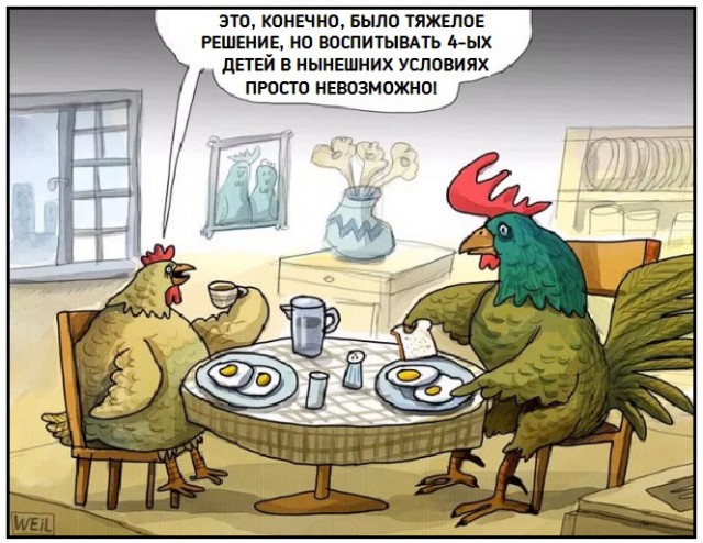 Прикольные и просто красивые картинки 01.11.2024