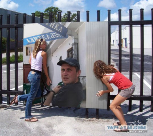 Дикие фото из социальных сетей