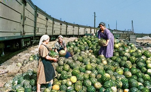 Яркие моменты