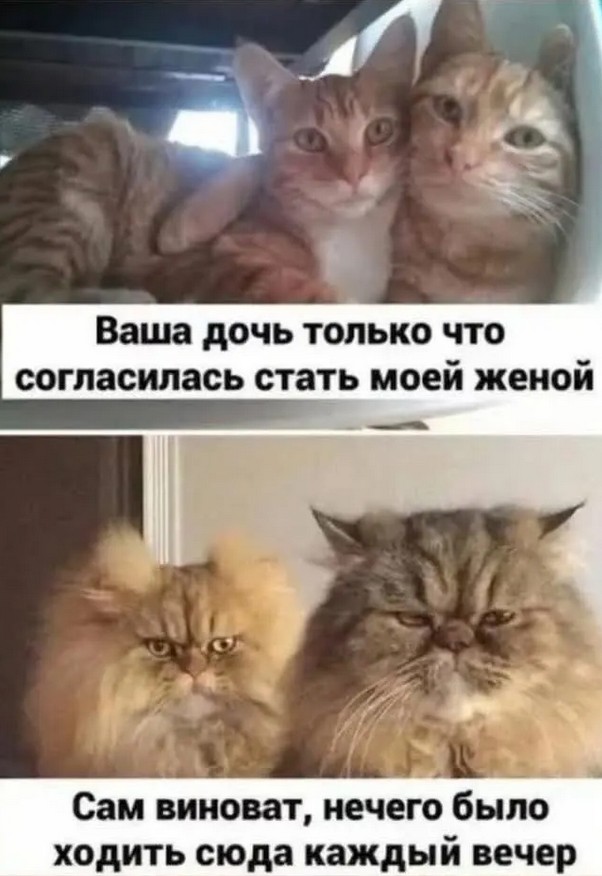 Завалялось тут случайно немного забавных картинок