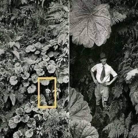 История разных эпох в фотографиях