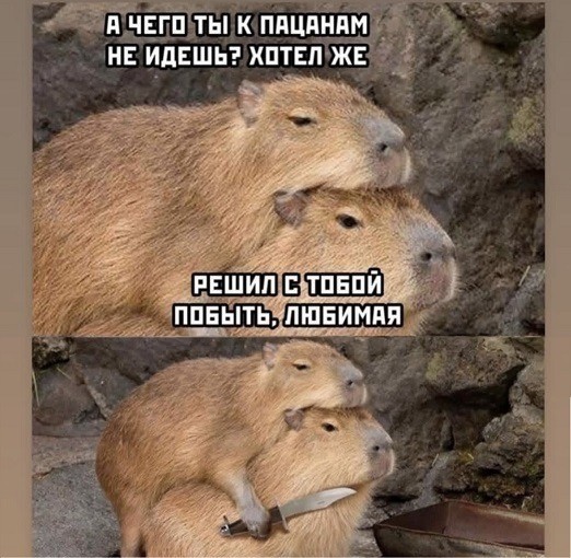 Стало интересно - а чего хотят мужчины 45+