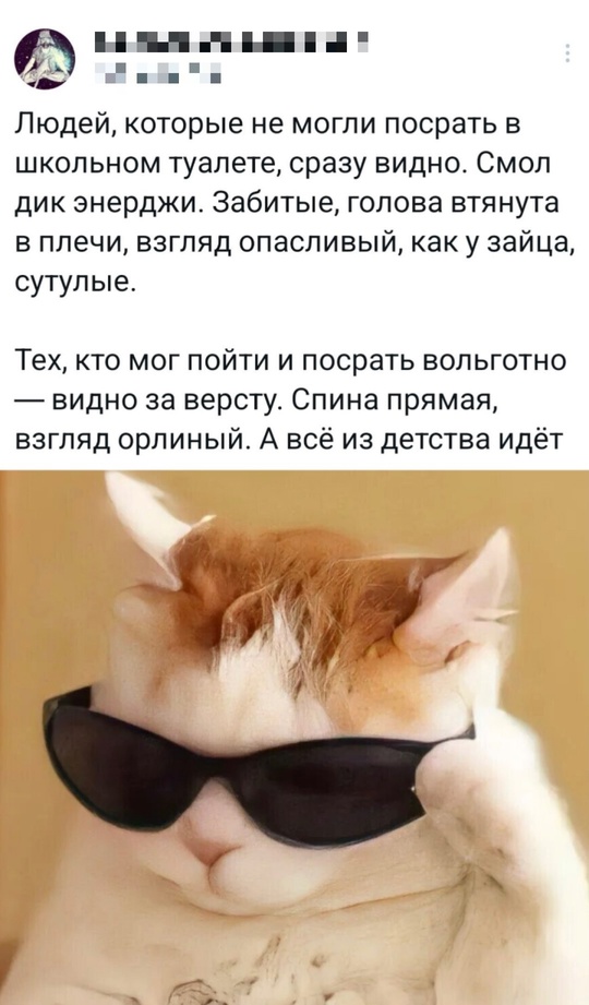 Весёлый полтишок 22.07.25