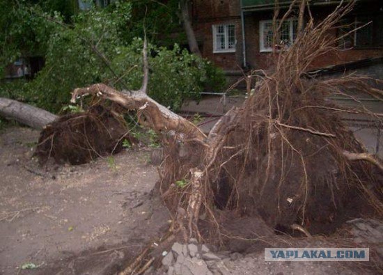 Буря в Омске