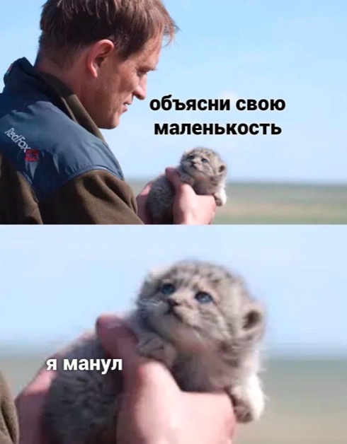 Так себе картинки 06.09.25