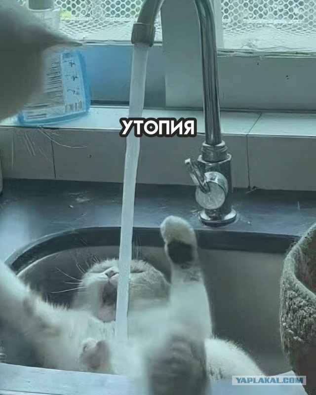 За секунду до...