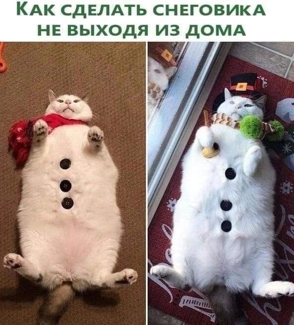 Понедельника картинки