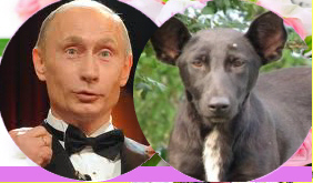 Он осуществил свою олимпийскую мечту