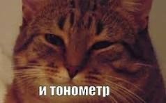 В защиту женщин и жён