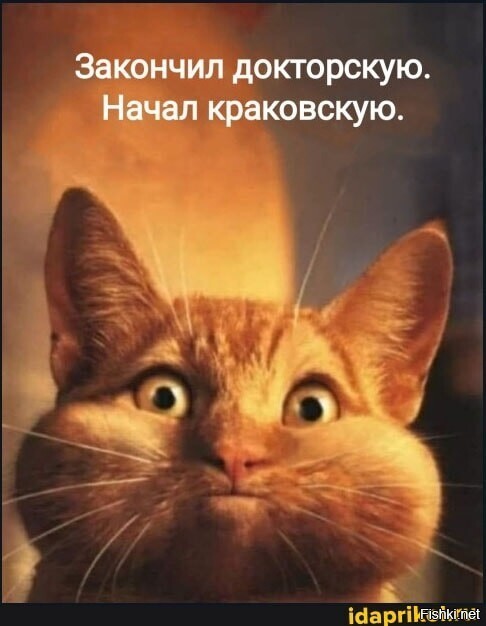 Воскресные картинки