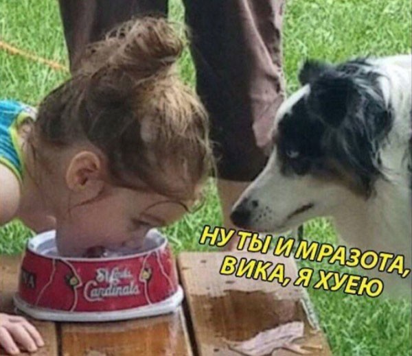 Срединедельный подвоз баянов