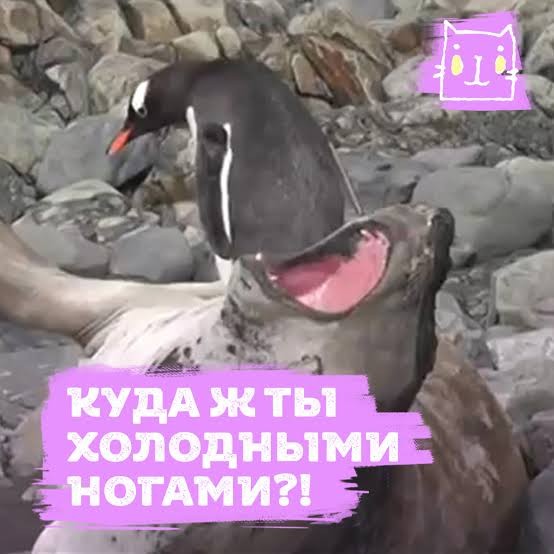 Мне бы такое терпение