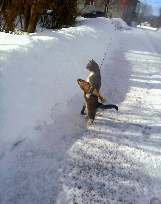 Март ты где ?