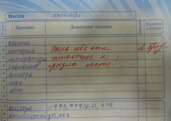 Записи в Дневниках
