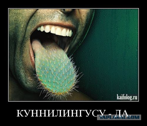 Тем,кто против куннилингуса!