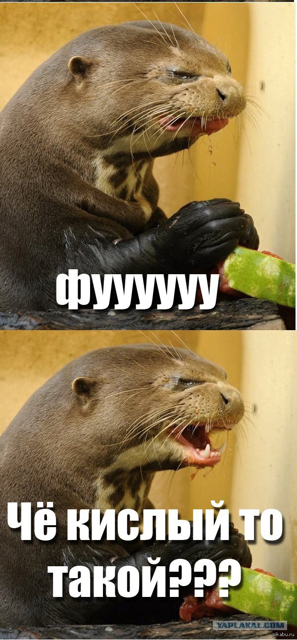 Весёлые картинки. Разбавим будни