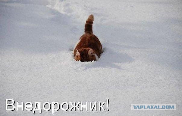 я обычный Человек