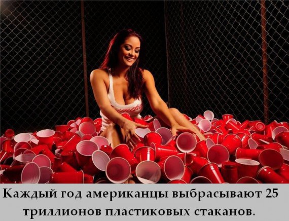 Факты в картинках