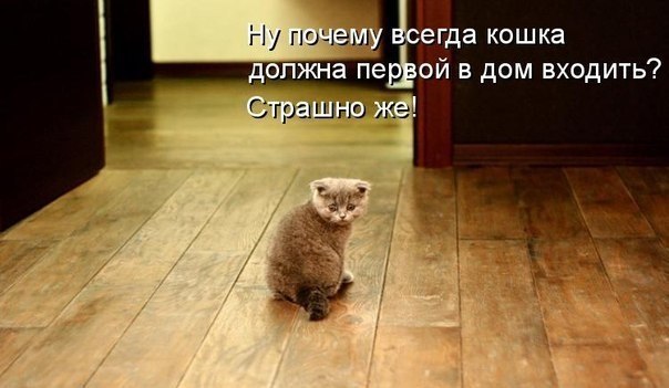 Подборка смешных картинок :)