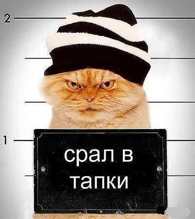 Подборка смешных картинок :)