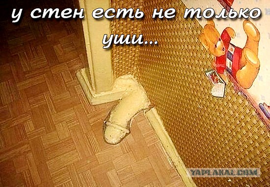 Веселые картинки