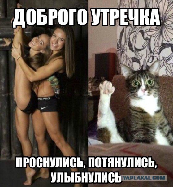 Весёлое из сети